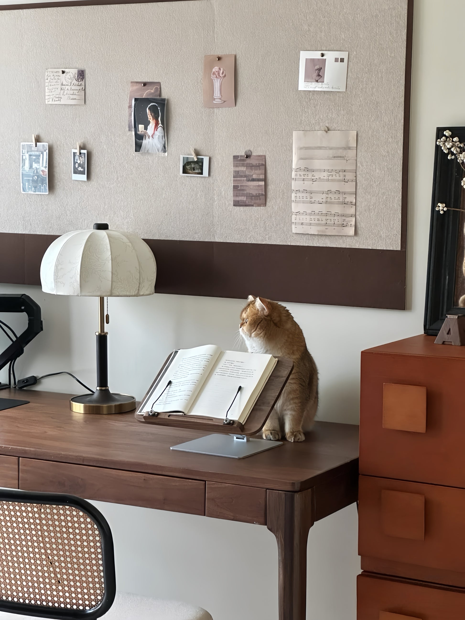 Cat sitting on a desk with an open book and french vintage lamp in a home office setting